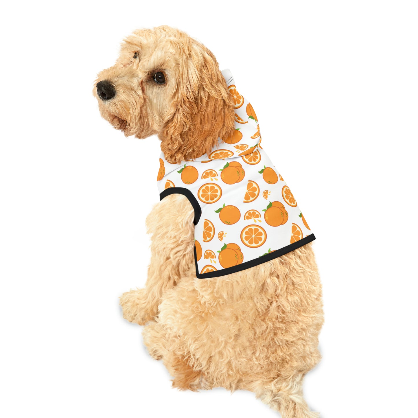 Orange Drops Pet Hoodie