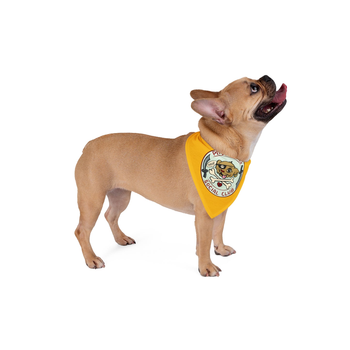 Pirate Pals Social Club Pet Bandana - Yellow