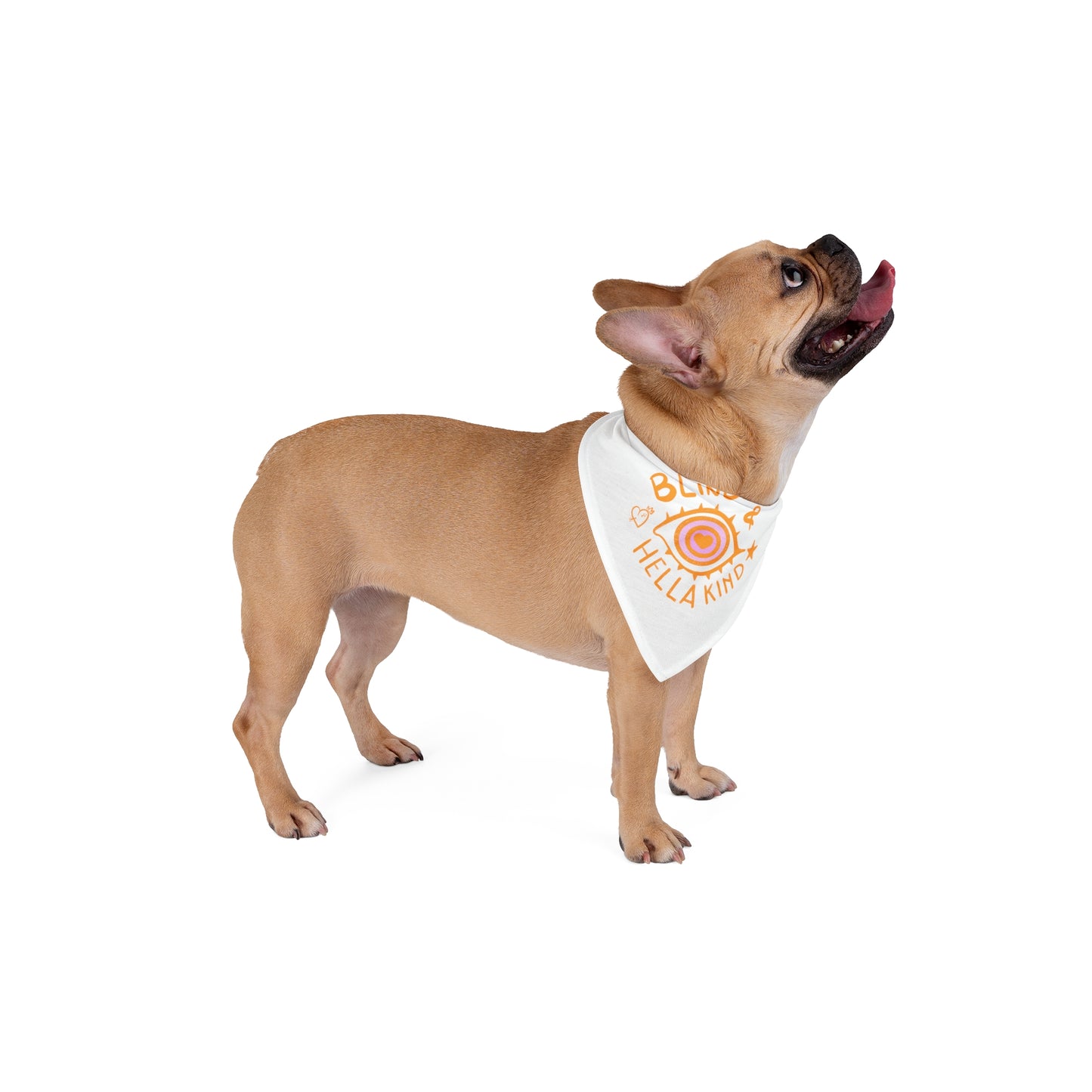 Blind & Hella Kind Pet Bandana - Orange