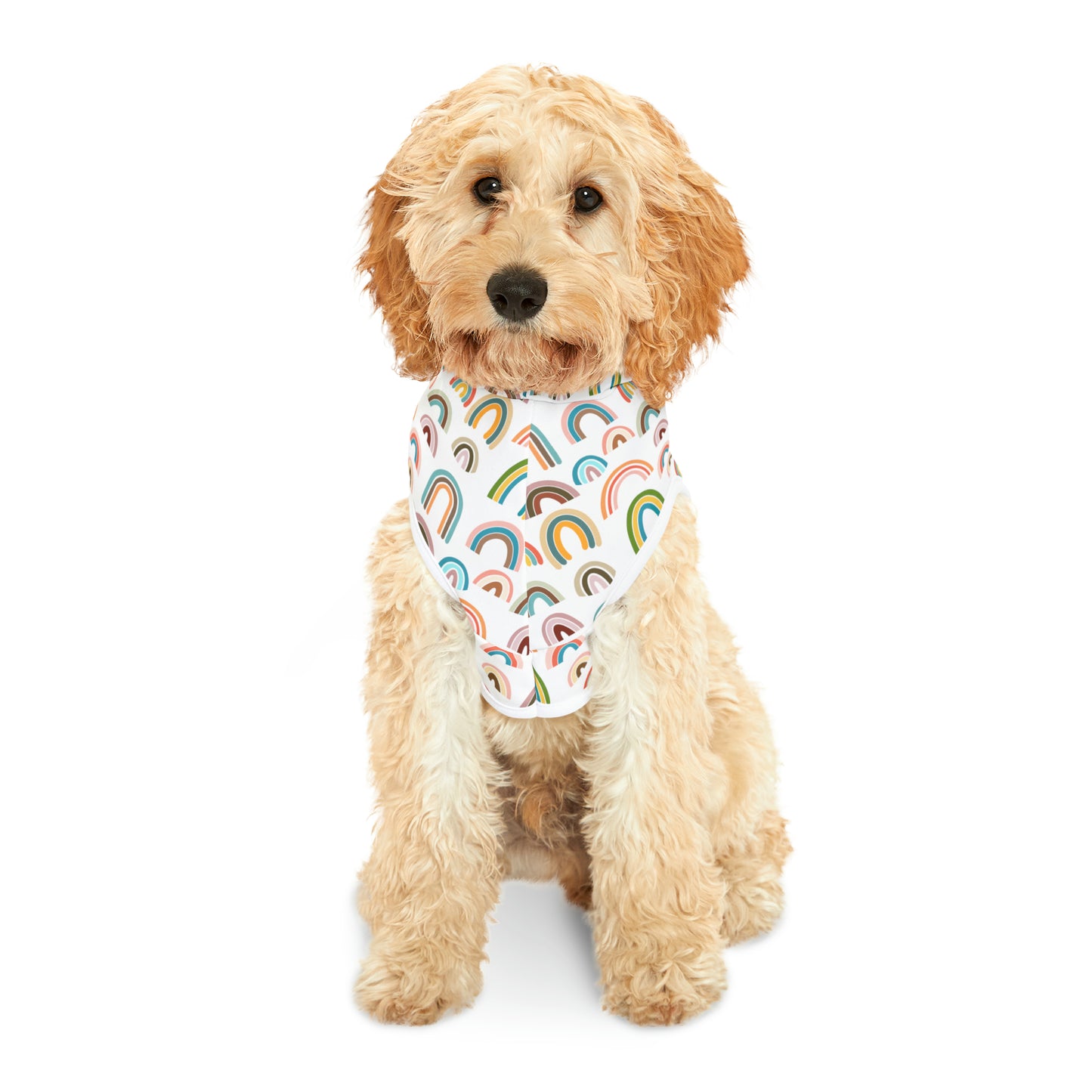 Rainbow Days Pet Hoodie