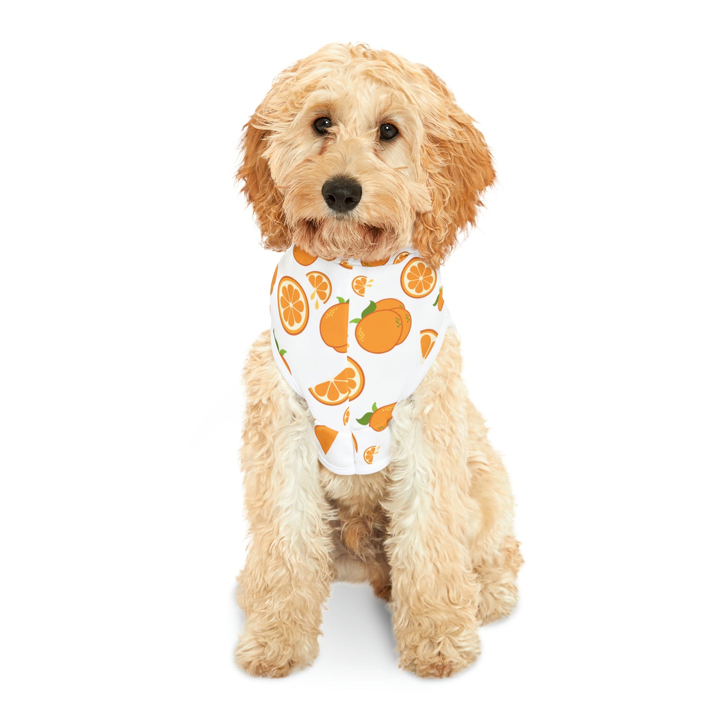 Orange Drops Pet Hoodie