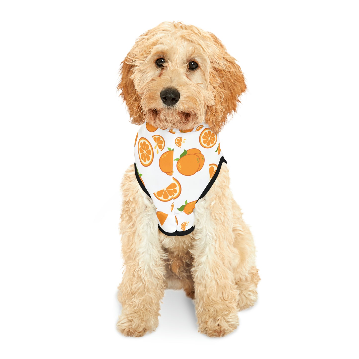 Orange Drops Pet Hoodie