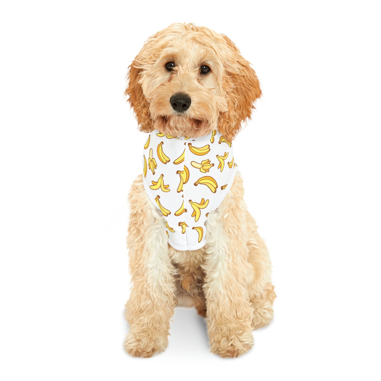 Go Bananas Pet Hoodie