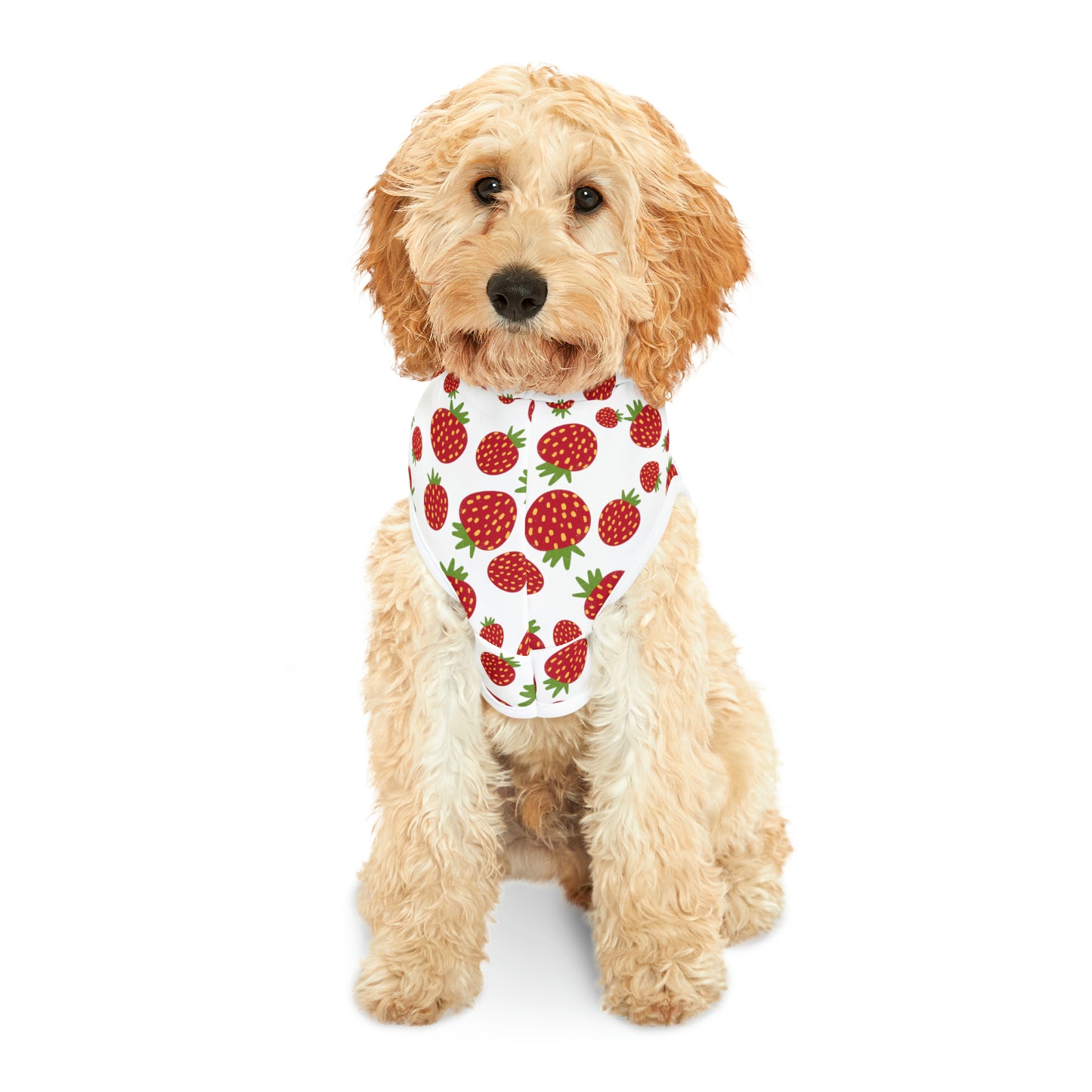 Strawberry Patch Pet Hoodie