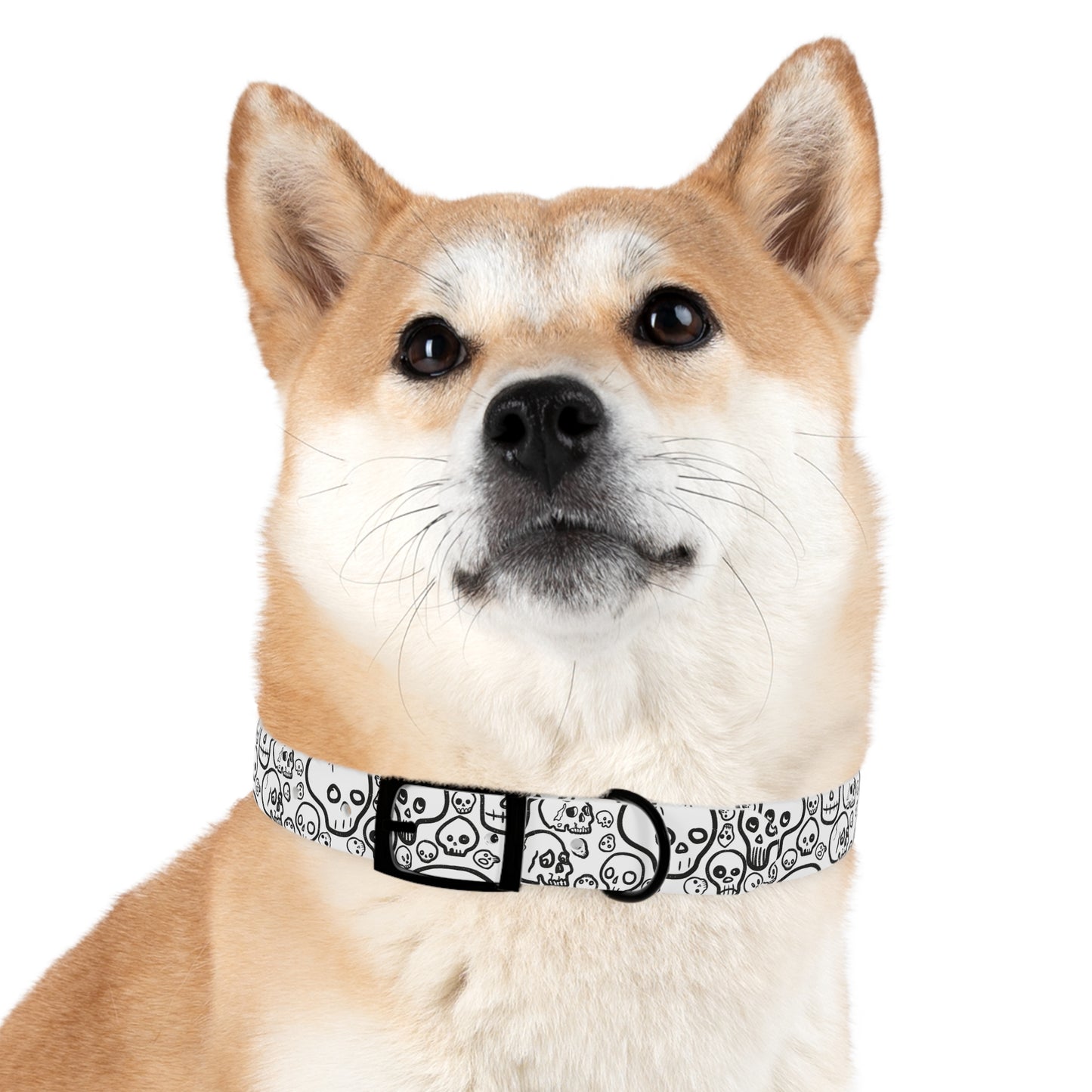 Skull Party Dog Collar