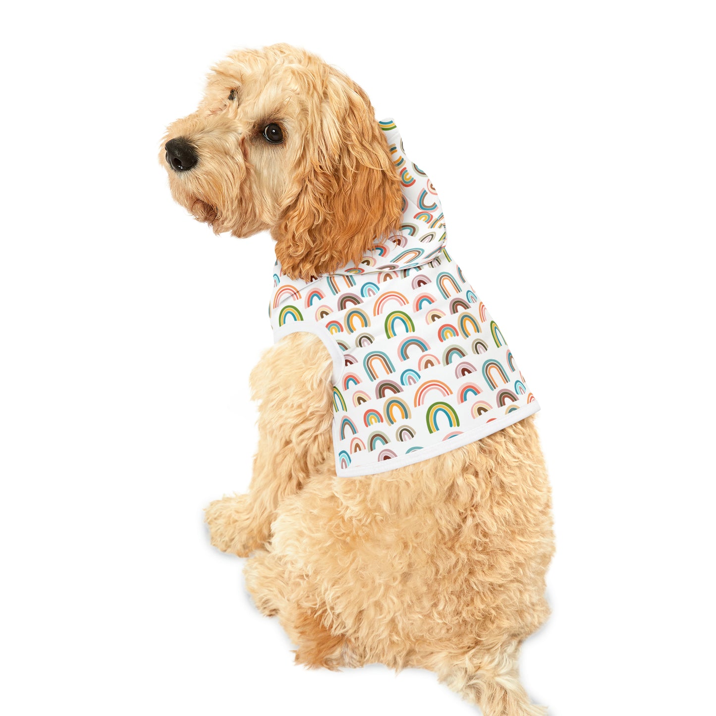 Rainbow Days Pet Hoodie