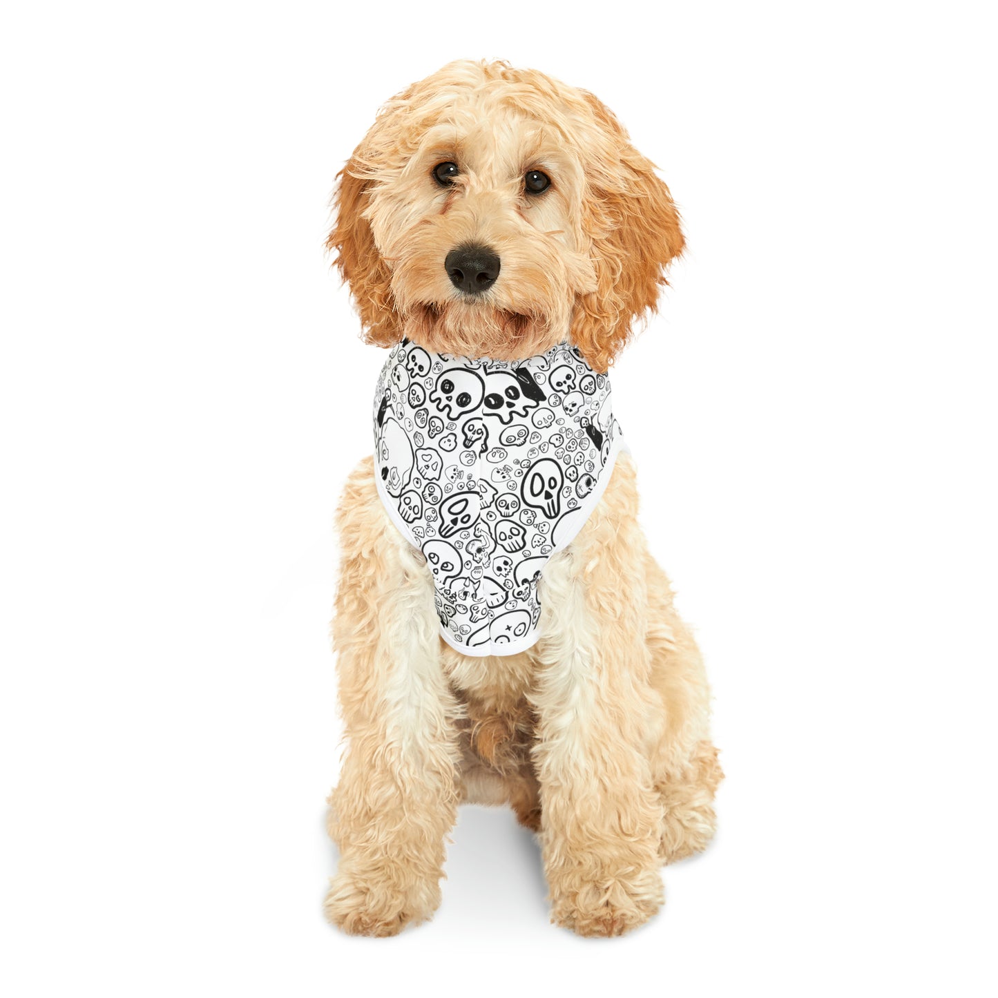 Skull Party Pet Hoodie