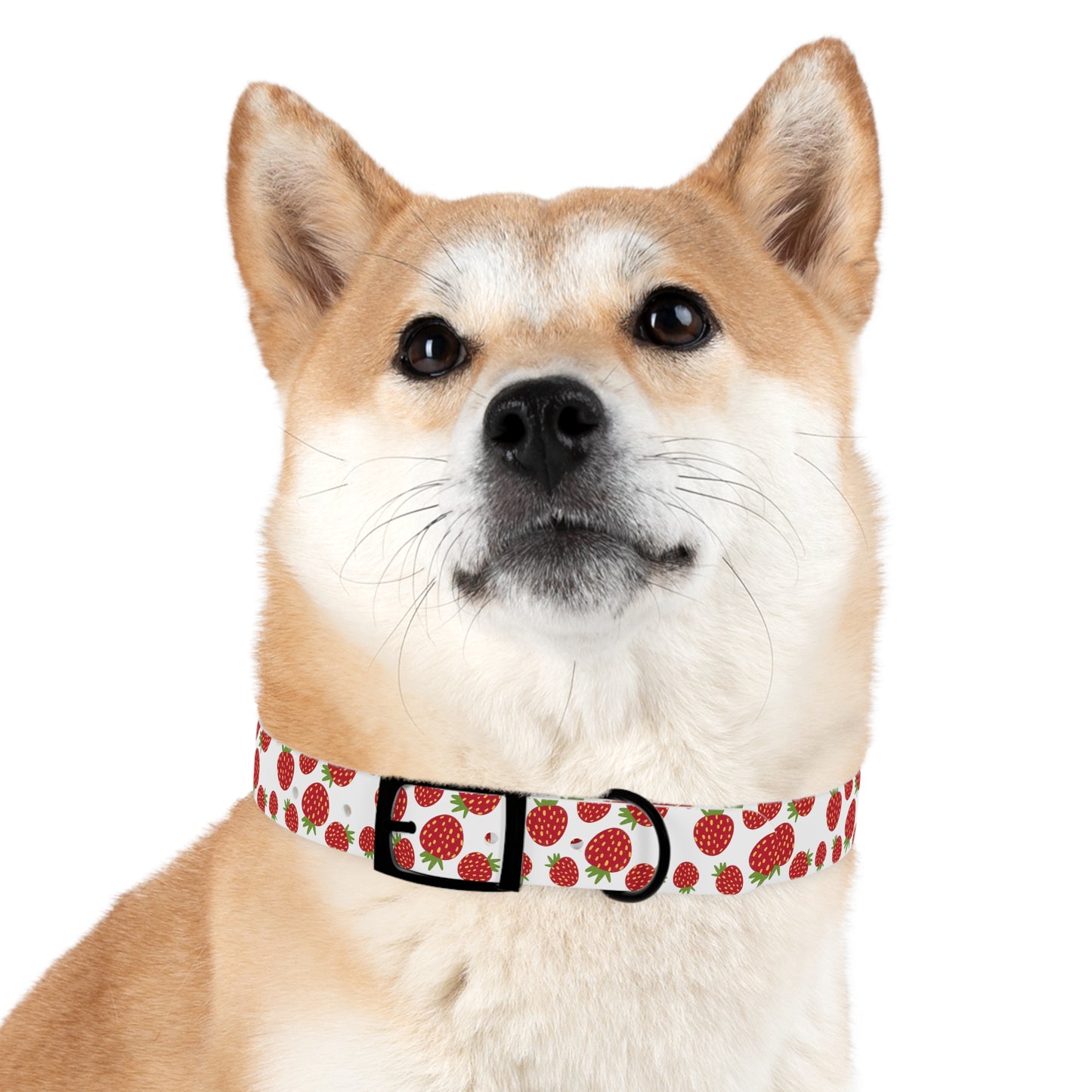 Strawberry Patch Dog Collar