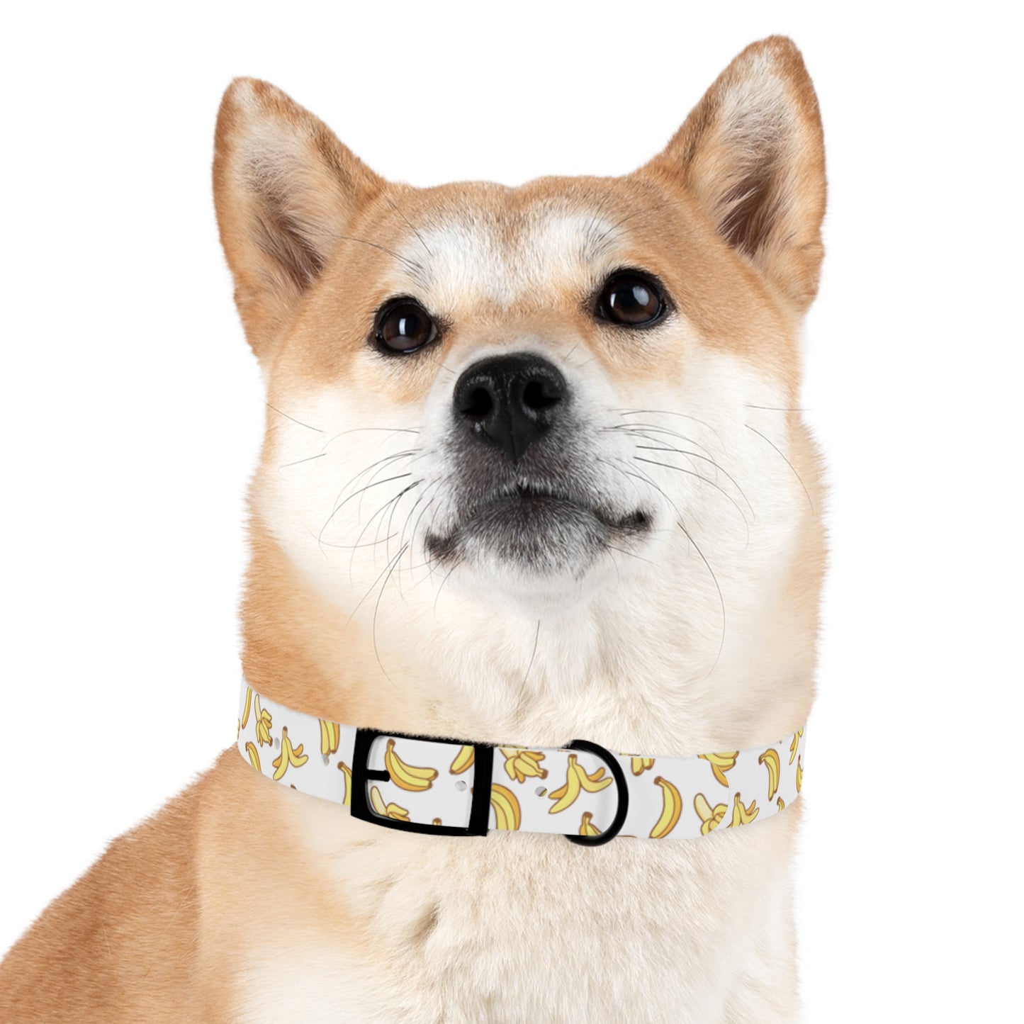 Go Bananas Dog Collar