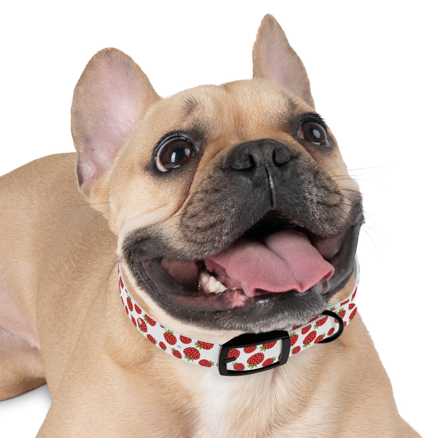 Strawberry Patch Dog Collar