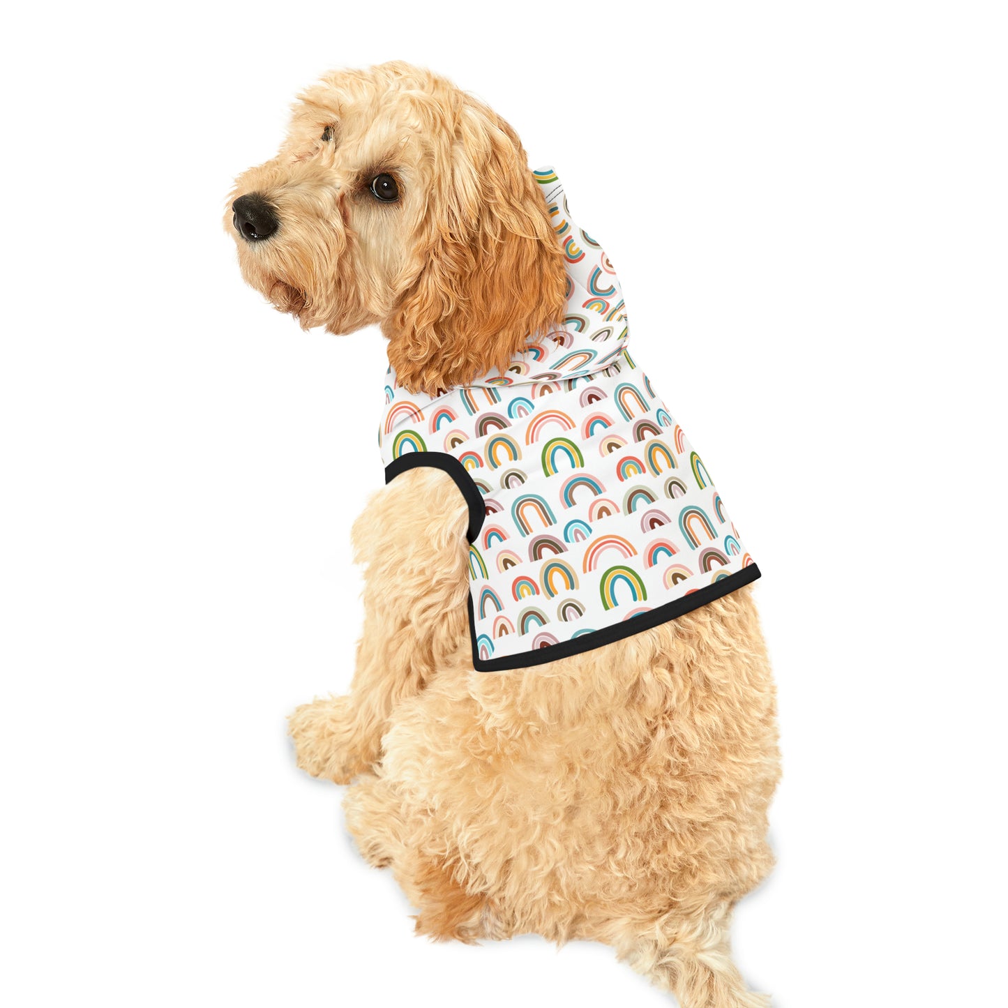 Rainbow Days Pet Hoodie