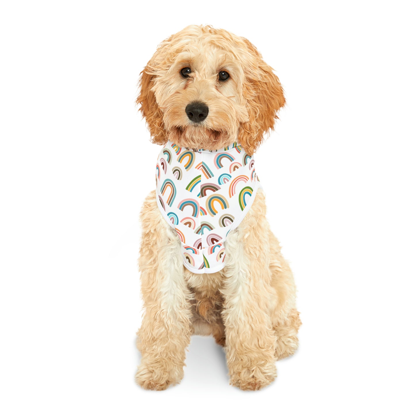 Rainbow Days Pet Hoodie