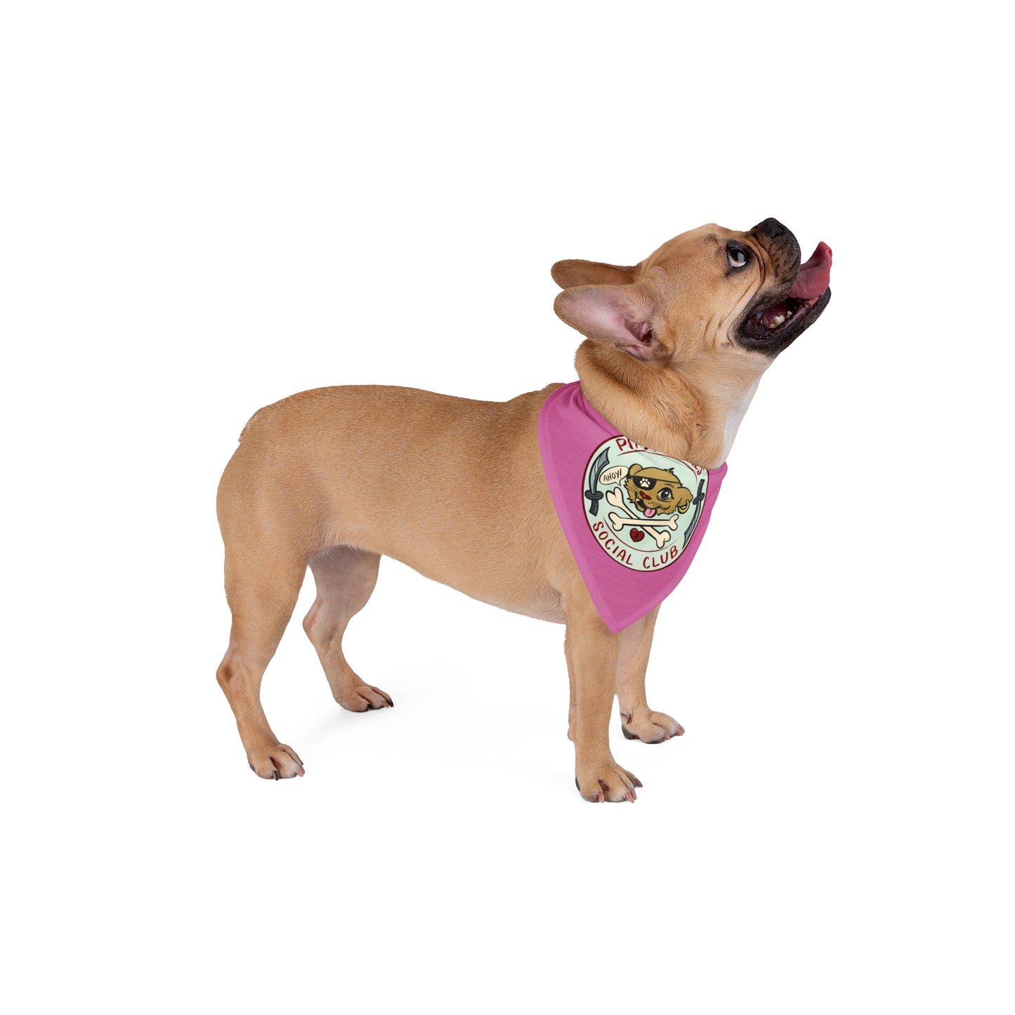 Pirate Pals Social Club Pet Bandana - Pink