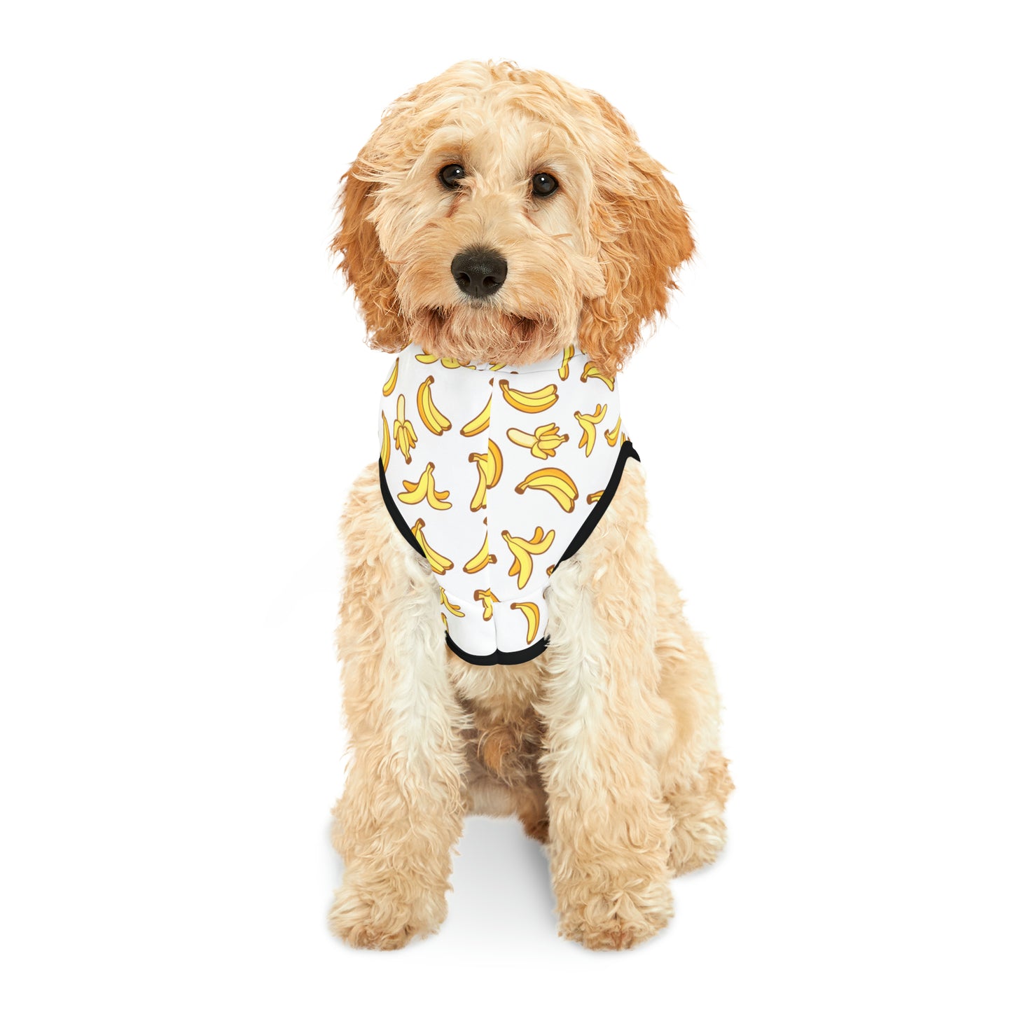 Go Bananas Pet Hoodie
