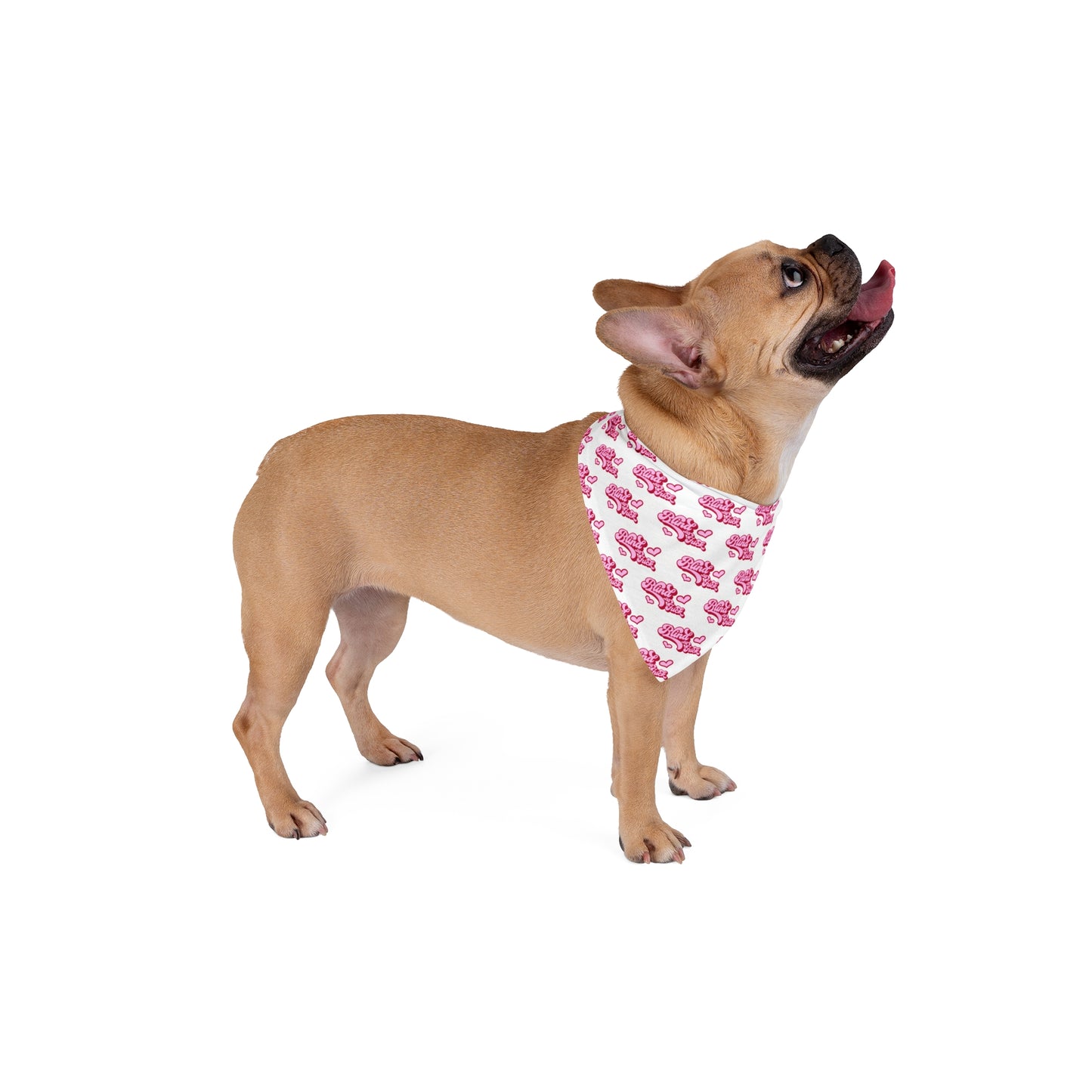 Blind AF Pet Bandana