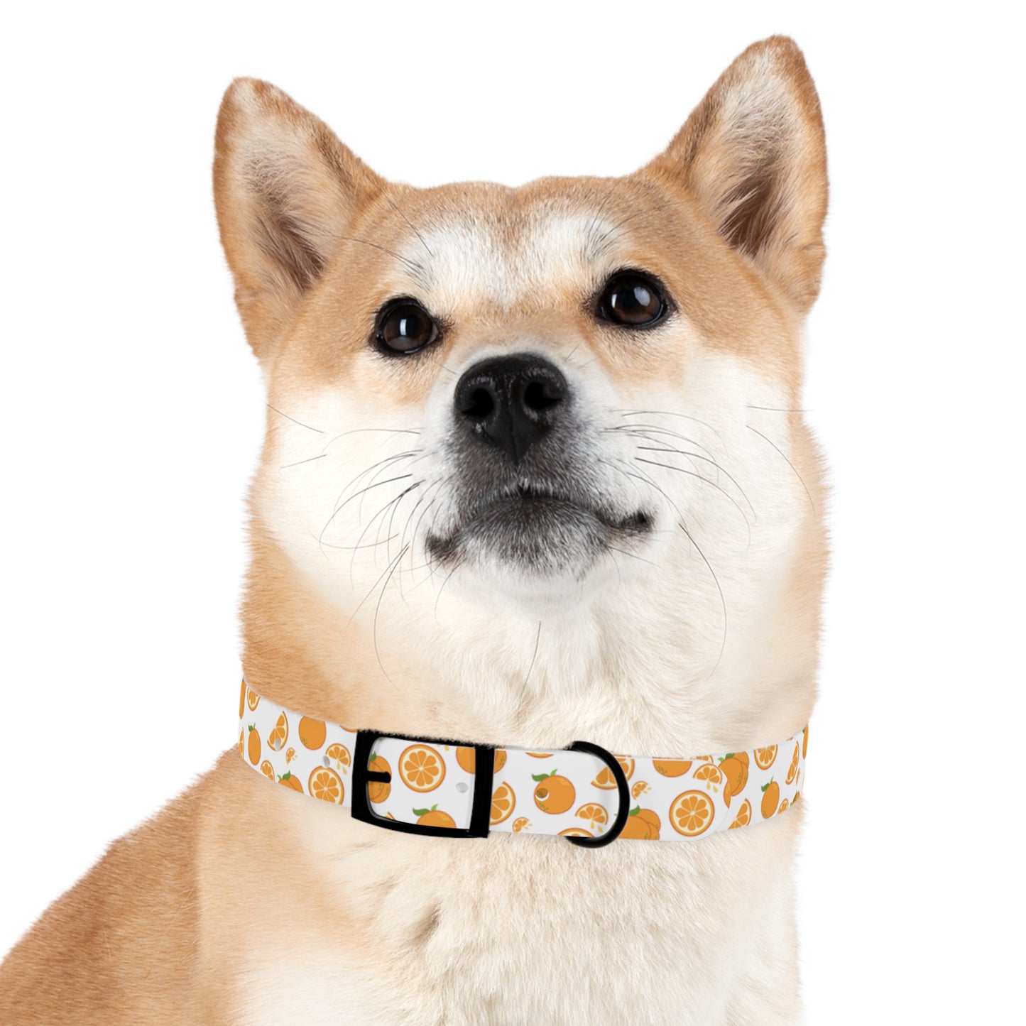 Orange Drop Dog Collar
