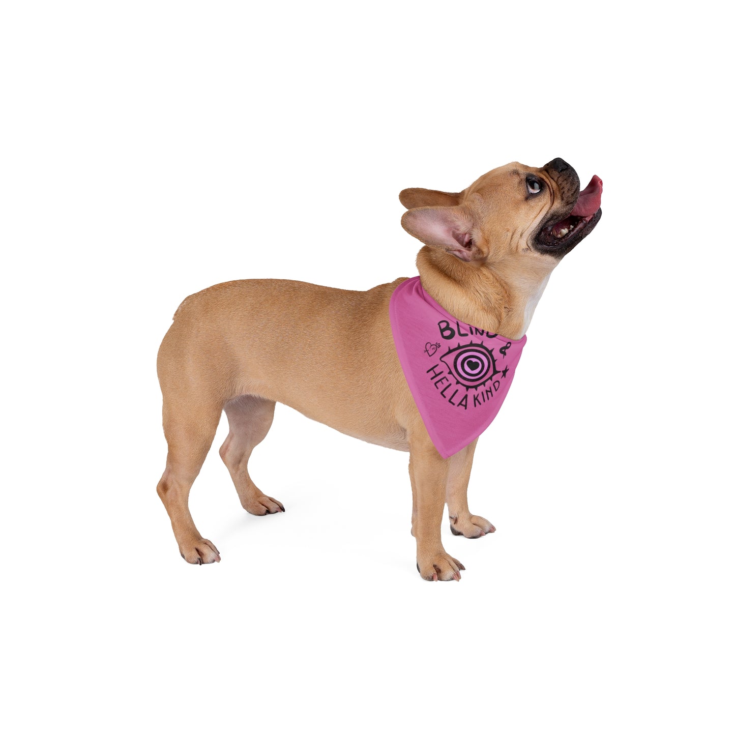 Blind & Hella Kind Pet Bandana - Black & Pink