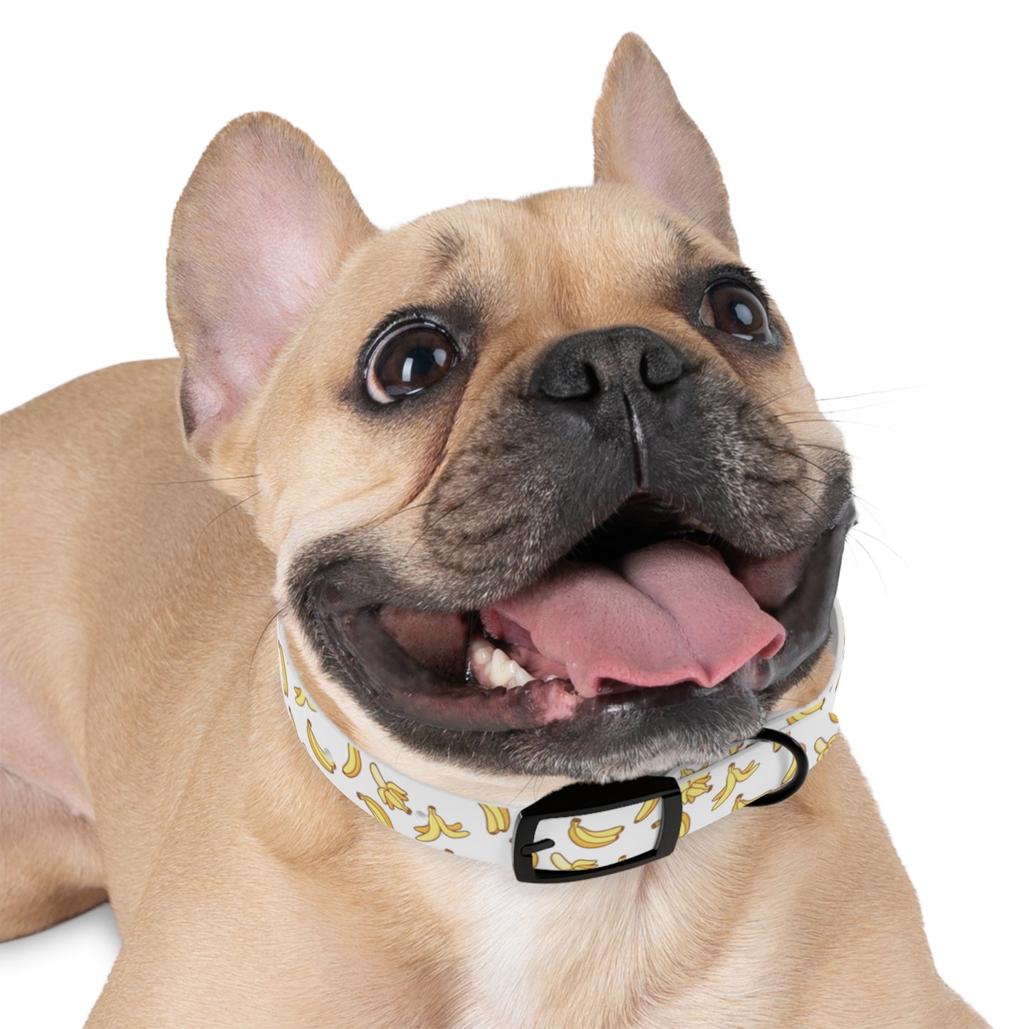 Go Bananas Dog Collar