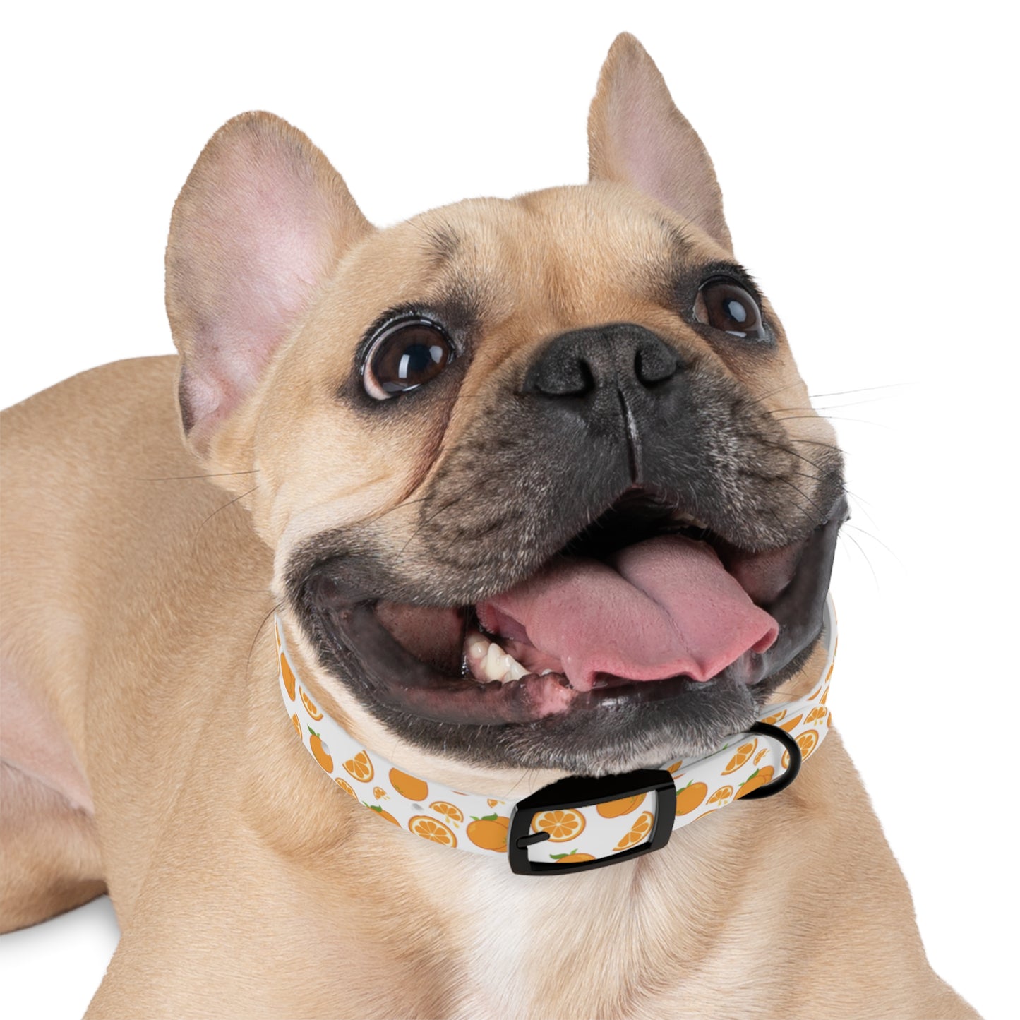 Orange Drop Dog Collar