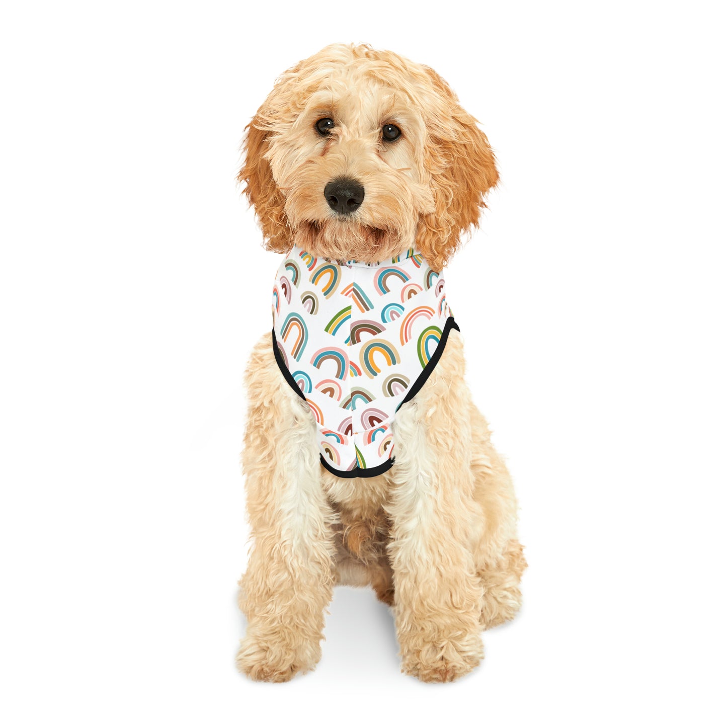 Rainbow Days Pet Hoodie