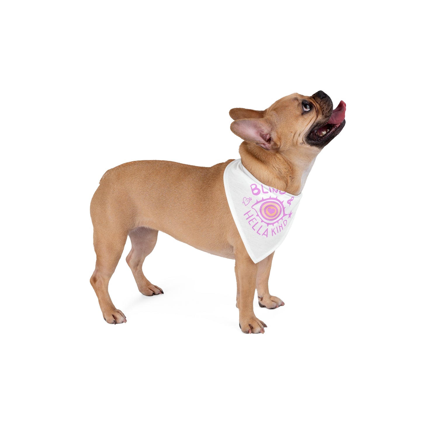 Blind & Hella Kind Pet Bandana - Pink on White